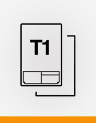 T1 Triple integrated labels