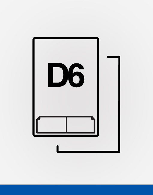 D6 double integrated labels