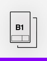 B1 Bullet integrated labels