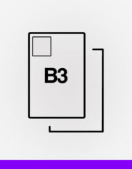 B3 Bullet integrated labels